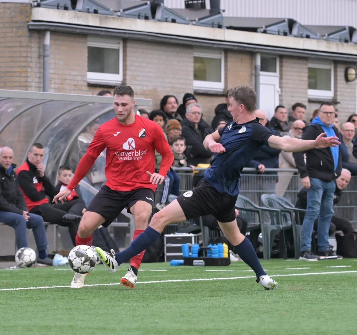 Nieuwe foto's in het foto-album